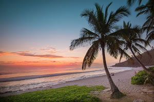 réunion